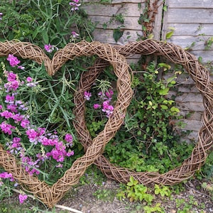 Op de afbeelding: Twee grote geweven wilgenhartenkransen, waarvan er &eacute;&eacute;n over de andere heen ligt, zijn tegen een houten schutting geplaatst. Voor de kransen groeien roze en paarse bloemen.