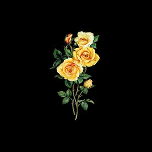 Könnte beinhalten: Aquarell-Illustration von gelben Rosen mit grünen Blättern und Stielen vor schwarzem Hintergrund. Die Rosen blühen voll, mit detaillierten Blütenblättern. Mehrere Knospen sind ebenfalls sichtbar, was ein realistisches Bild ergibt.