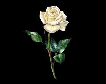 Rose Print Mulberry Silk Panel – Ivory Flower on Black Satin – Italian Fabric