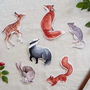 Pack d'autocollants animaux de la forêt - Autocollants imperméables - Ensemble d'autocollants illustrations aquarelles