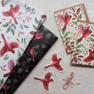 Coffret cadeau Christmas Cardinal - patrons botaniques - Pack de cartes de vœux de Noël assorties, papier d’emballage, étiquettes cadeaux et ficelle