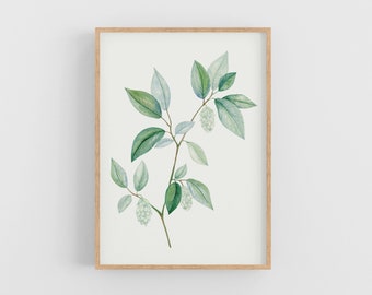 Botanical branch art print - Watercolor wall art - Green hop nature poster - Humulus Lupulus illustration