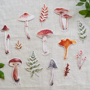 Lot d'autocollants champignons et feuilles - Autocollants imperméables - Ensemble d'autocollants illustrations aquarelles - Forêt