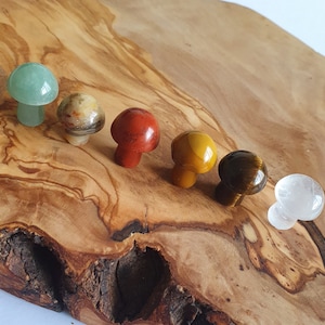 Crystal Mushroom, mini mushroom, mushroom stone, crystal carving, mushrooms, witchy gift, red jasper, Tigers Eye, Mookaite Jasper