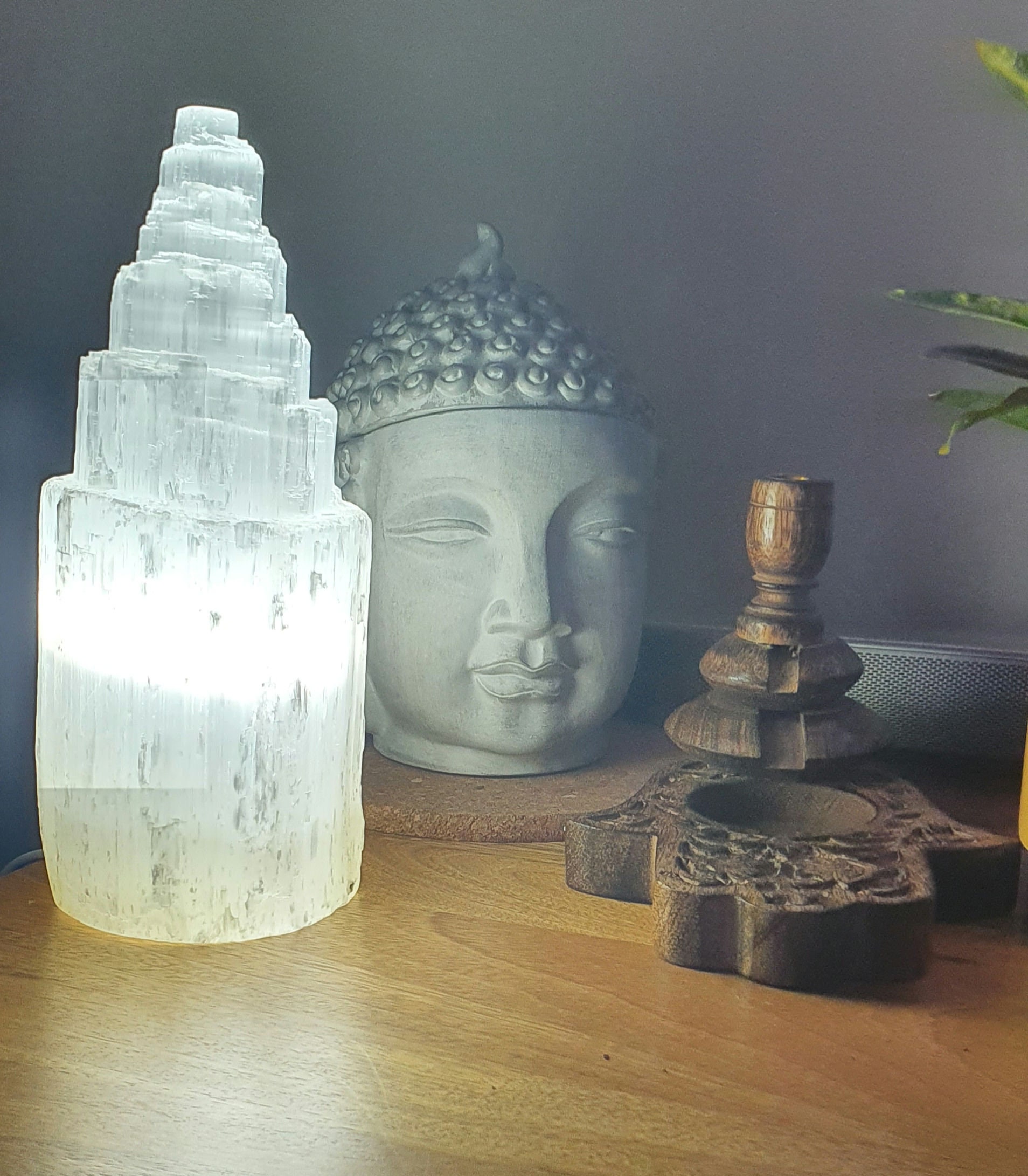 Lampe de table en cristal de sélénite, grand blanc naturel, guérison,  clarté et méditation, lampe de table en cristal, cristaux, pierre  précieuse