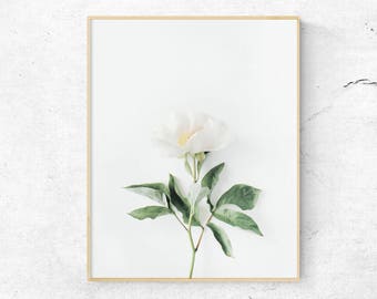 floral poster etsy