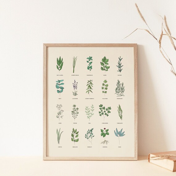 Herbs Printable Herbs Wall Art Kitchen Wall Decor Herbs Etsy