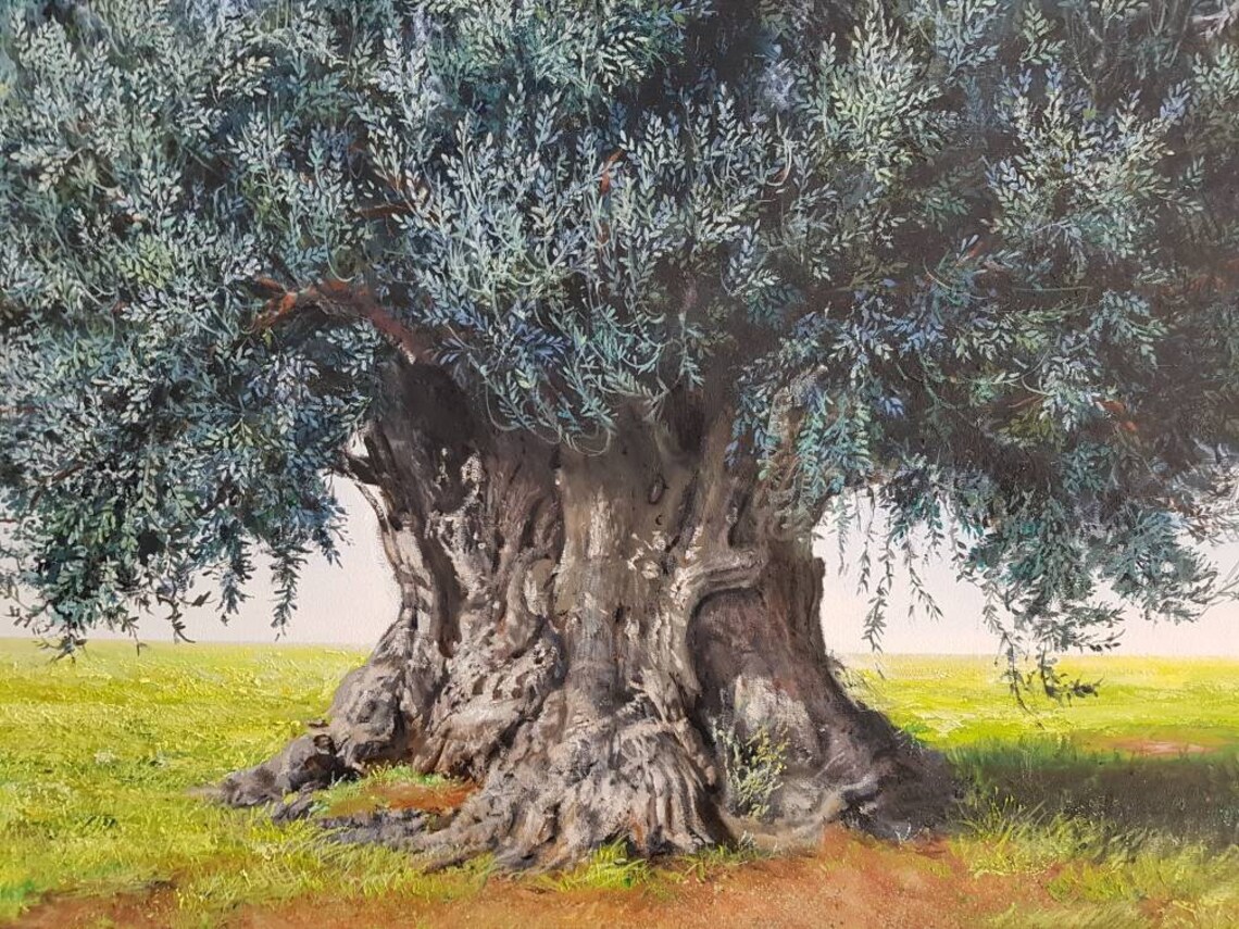 Olive Tree Painting With Oil Colours on Canvas.olive Tree Art Etsy