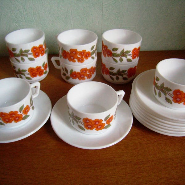 Lot De 6 Tasses Et Sous-tasses Arcopal Motif Fruits D'automne - Vaisselle Vintage Orange