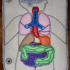 Educational Felt Human Anatomy Page 5x7 Quiet Book Page