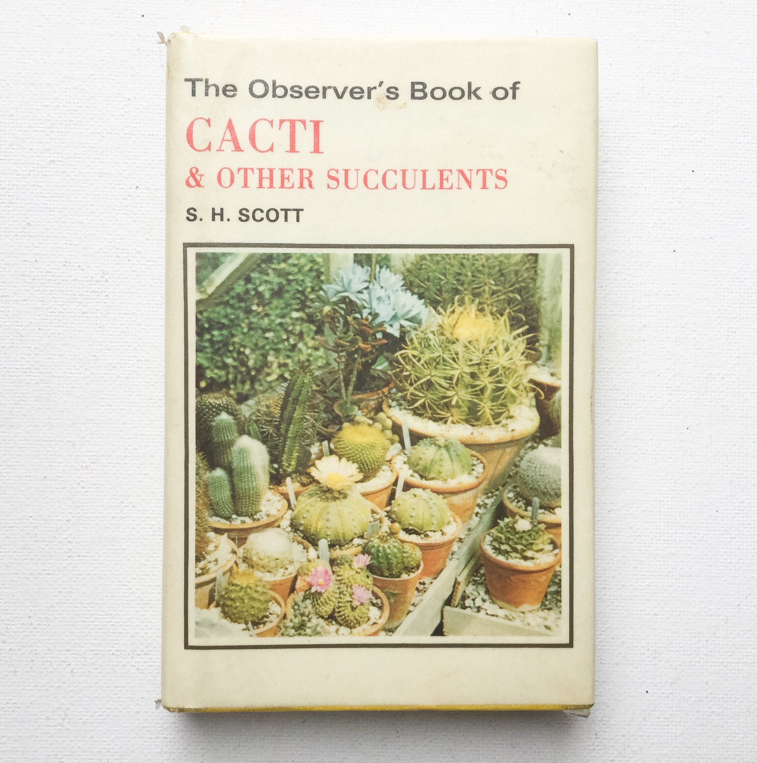 Vintage Observer's Book of Cacti and Other Succulents Etsy