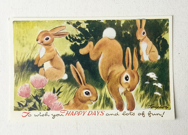 Your Choice Unused Rabbit Deer Squirrel 1950s \u201cPlaytime Pets\u201d by Taylor for Bamforth Ltd Cute Vintage Animal Postcards 01527