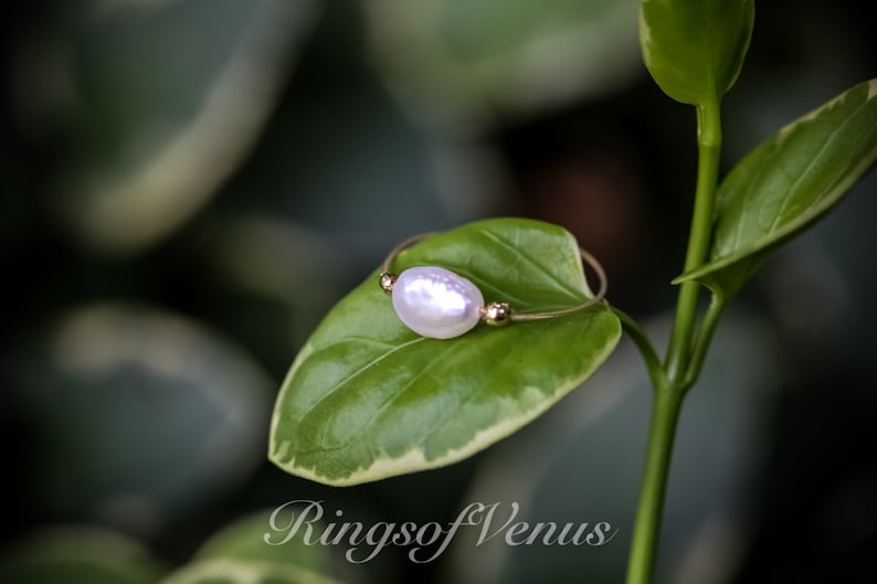 May include: A delicate gold ring featuring a single white pearl, resting on a green leaf. The ring is simple and elegant, ideal for everyday wear.