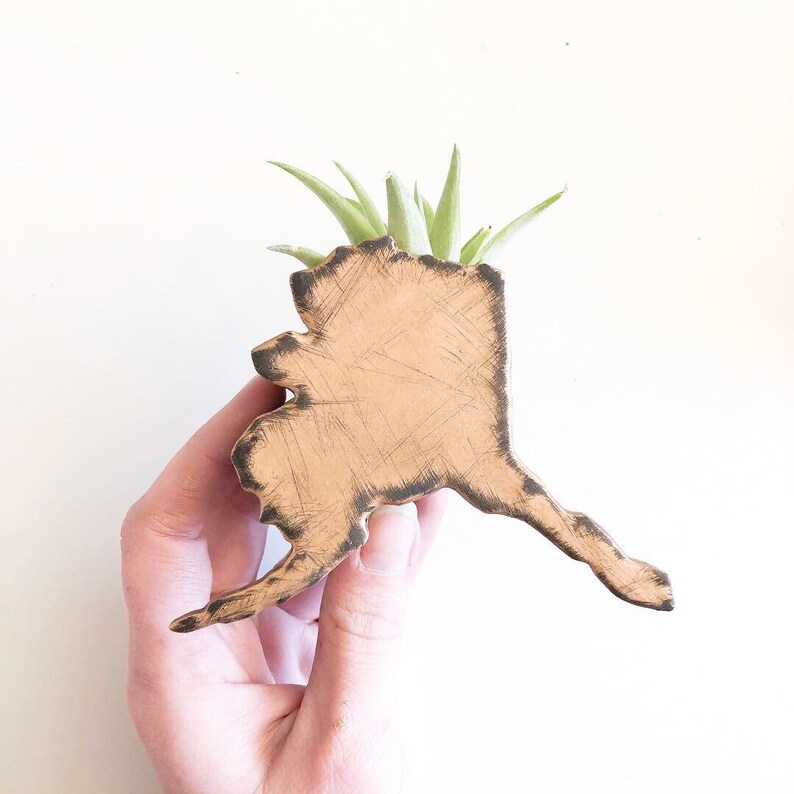 Air Plant Holder AK decor Alaska State Planter Magnet Air Plant Decor Air Plant Magnet Magnetic Planter Alaska Decor