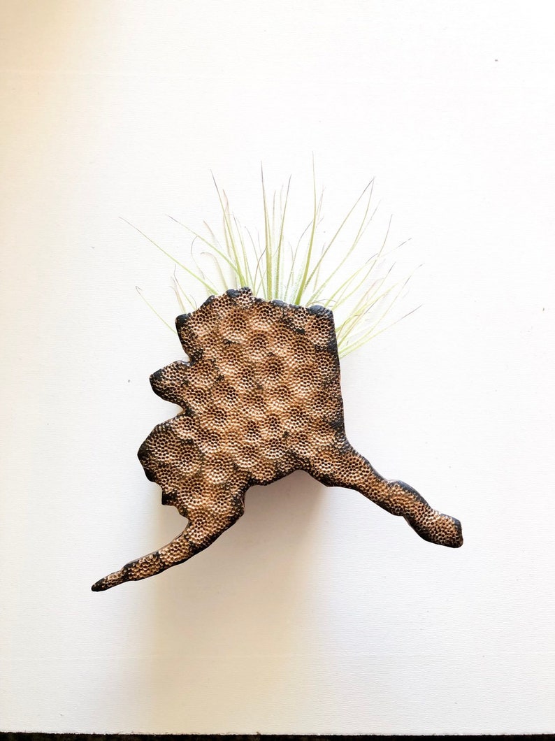 Air Plant Holder AK decor Alaska State Planter Magnet Air Plant Decor Air Plant Magnet Magnetic Planter Alaska Decor