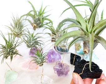 Crystal Wire Air Plant Holder