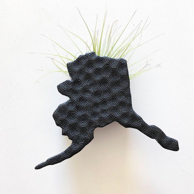 Air Plant Holder AK decor Alaska State Planter Magnet Air Plant Decor Air Plant Magnet Magnetic Planter Alaska Decor