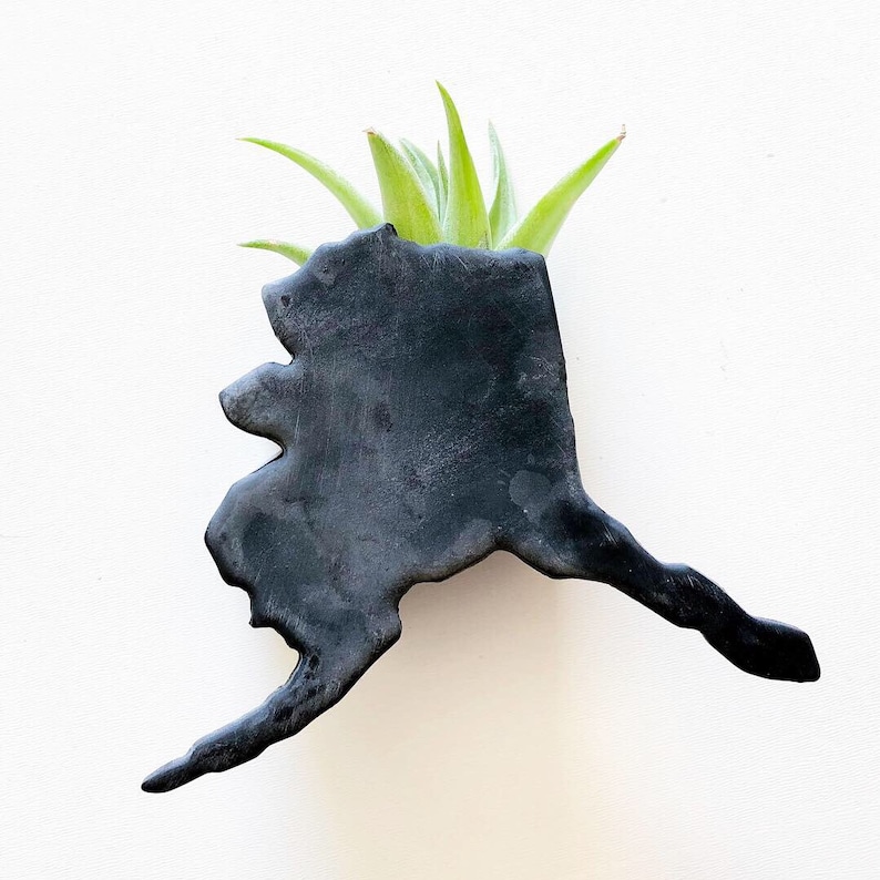 Air Plant Holder AK decor Alaska State Planter Magnet Air Plant Decor Air Plant Magnet Magnetic Planter Alaska Decor