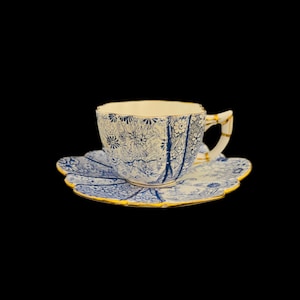 Foley Wileman Pre-Shelley Blue Jungle Print Demi-tasse Cup and Saucer Set Fine Bone China England RD.117220