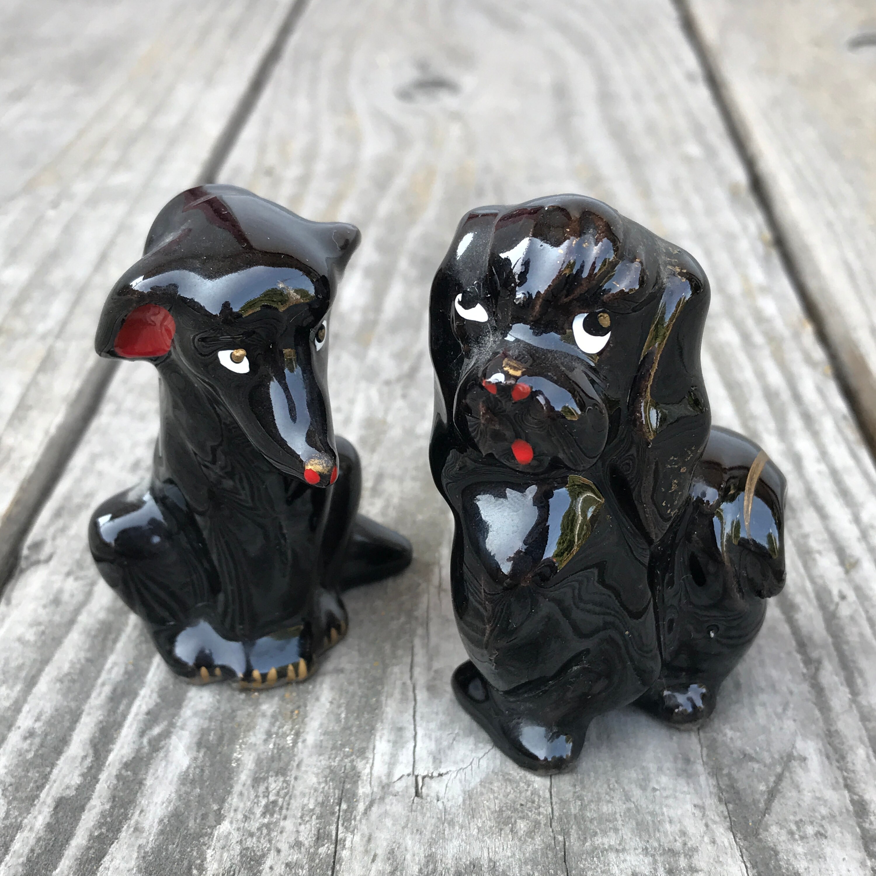 Can Dogs Have Salt And Pepper