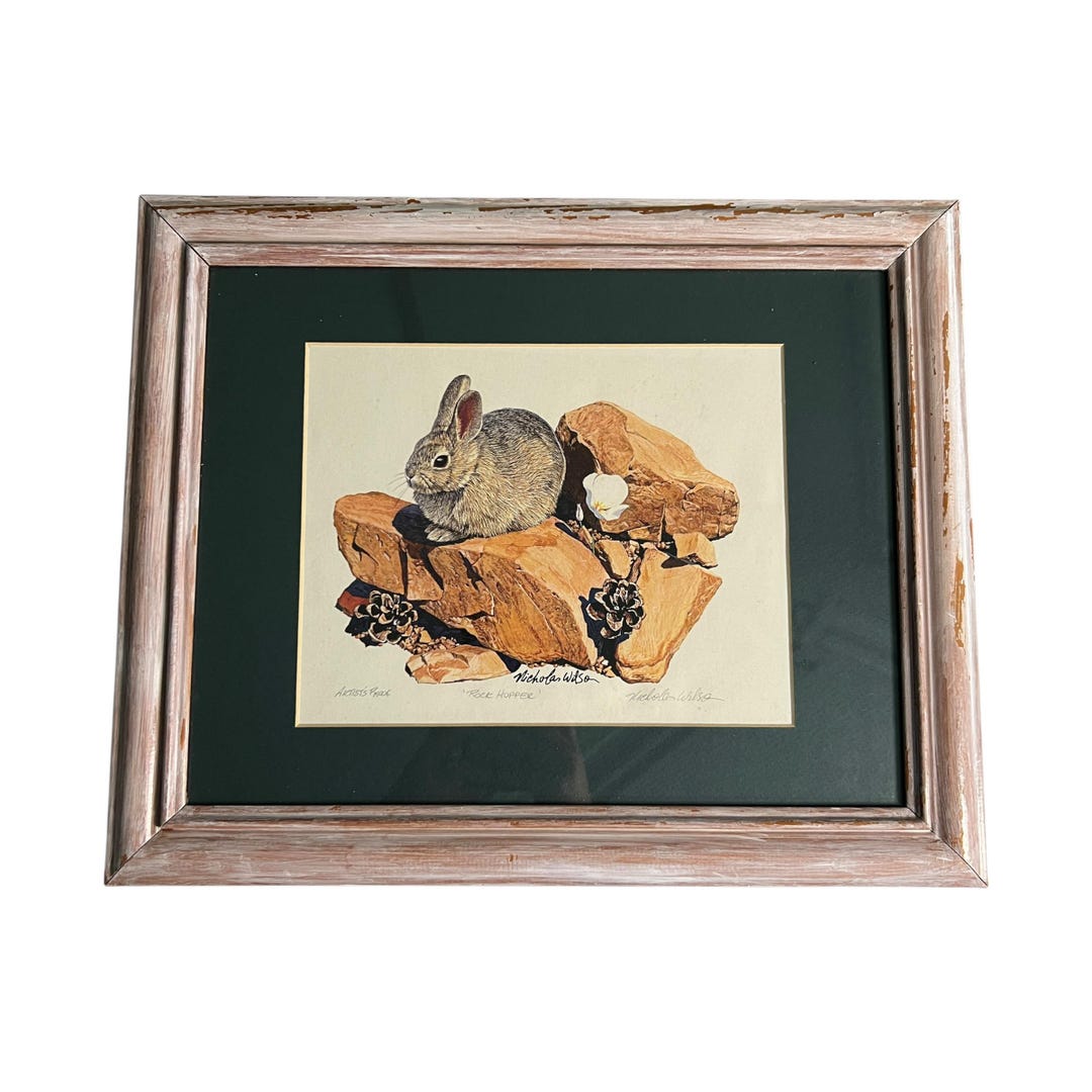 Nicholas The Rabbit Rock Hopper by Nicholas Wilson Print Framed Artist's Proof Rabbit Hare ...