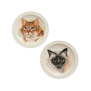 Orange Tabby and Siamese Kitty Cat Plates Weatherby Hanley England Royal Falconware SET of 2