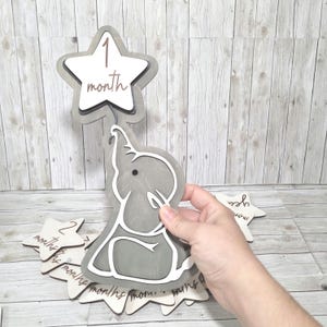 Elephant Baby Milestone Set: Wooden Photo Props, Engraved Star Markers