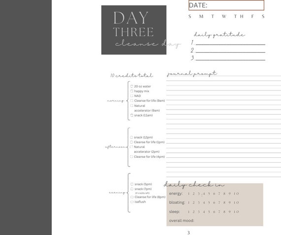 ISAGENIX 30 Day Reset JOURNAL With 11 Day Reset Wellness Journey