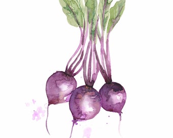 Beetroot Print Watercolour Painting | Kitchen Home Decor | Vegetable Artwork | A4 | Unframed