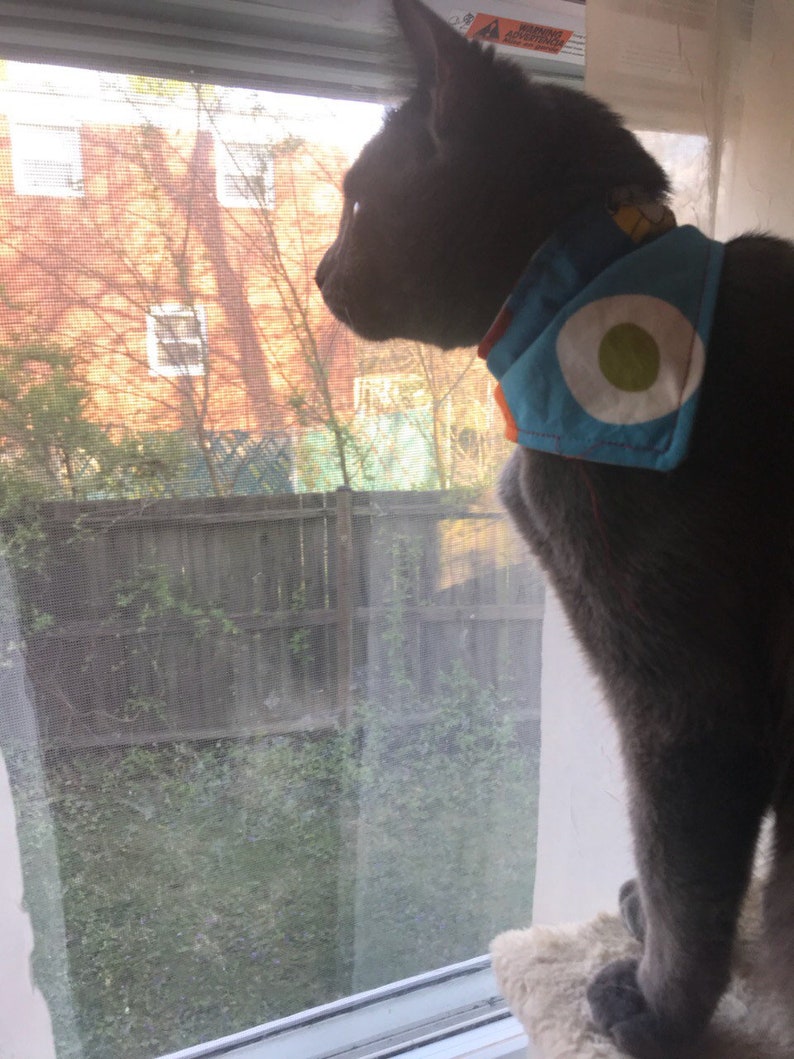 dog collar| cat collar| Personalized Monogrammed Over the collar pet bandana cat bandana dog bandana