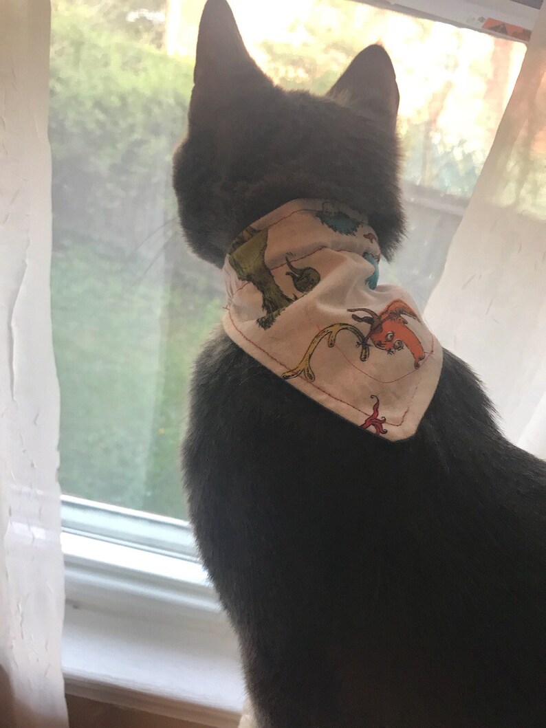 dog collar| cat collar| Personalized Monogrammed Over the collar pet bandana cat bandana dog bandana