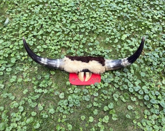 Vintage Longhorn Steer Horn Mount, Cow Fur Western Decor