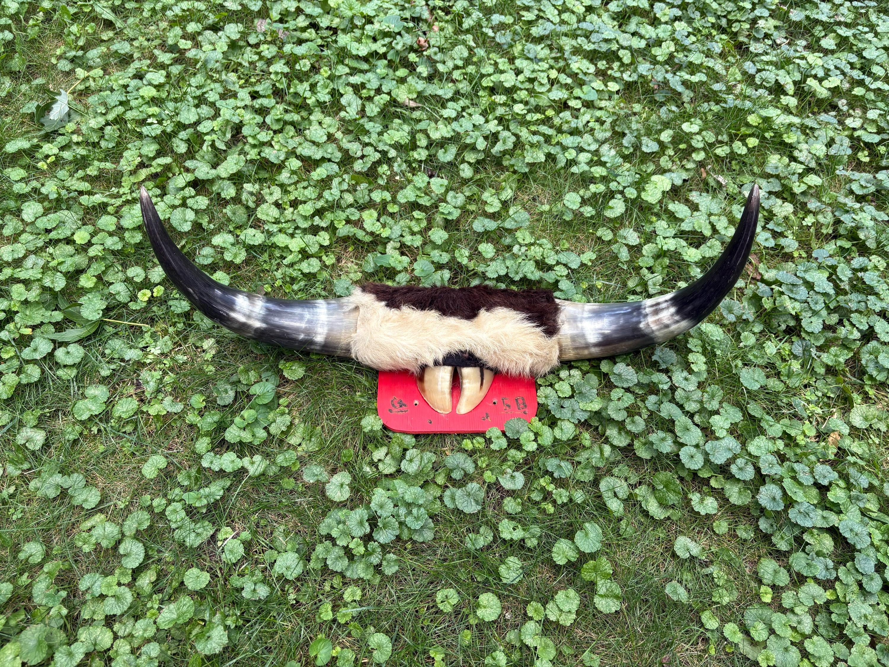 Longhorn Wood Cutout - 6 Inch Texas Steer Horn MDF Shape For Crafts & Decor