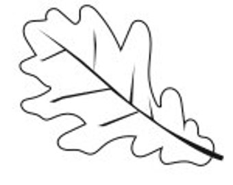 Oak Leaf Peg Rubber Stamp