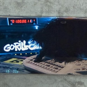 May include: A rectangular magnet featuring a gorilla typing on a keyboard. The word "GORILLA" is written in white, with a digital display showing numbers. The image has a blue and black color scheme.