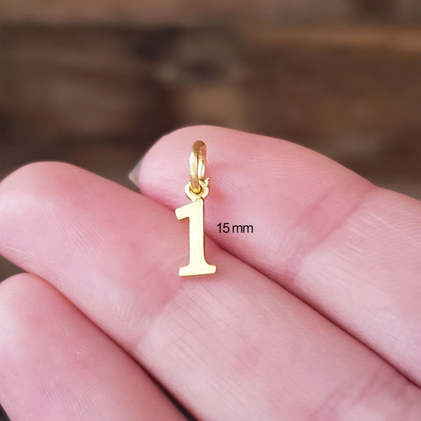 Number pendant 14k gold, Mother's day gift  Date necklace, Number jewelry, Gold number necklace,14kt overlay number pendant, Date, Numbers.