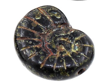 4 (Four) 17 mm x 13 mm Czech Glass Beads - Shell Ammonite Nautilus Fossil Snail - Jet Black Picasso Lichens Patina Highlights Rustic Texture