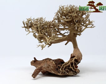 aquarium driftwood etsy