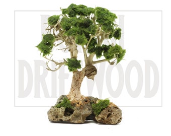 Driftwood Art Sculptures by Jeffro Uitto