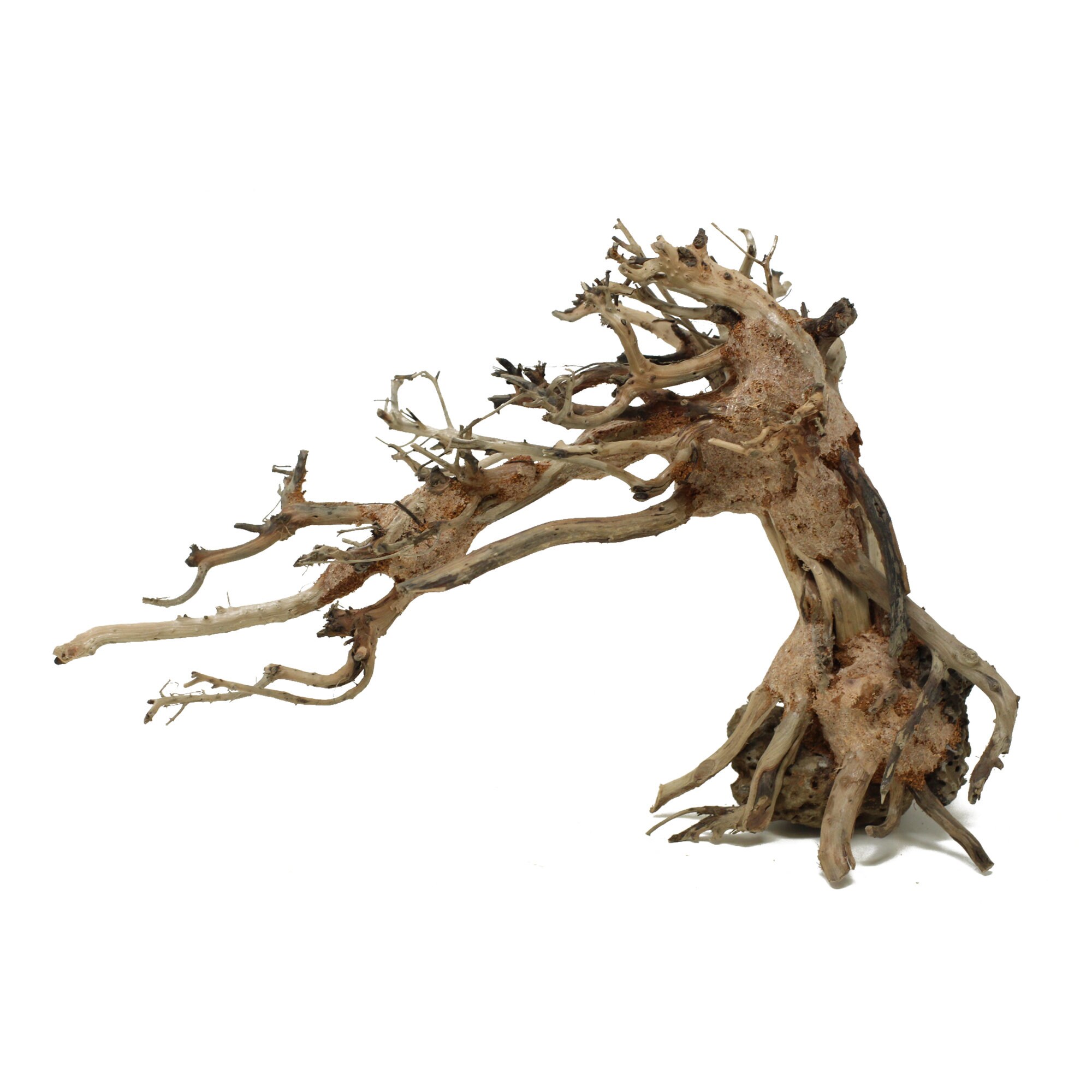Bonsai Driftwood Aquarium Tree TT3 8 inch height Natural Etsy