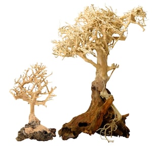 Dead Bonsai - Etsy