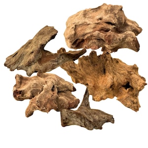 May include: A collection of five pieces of driftwood, each with a unique shape and texture. The driftwood is a natural brown color and has a rough, weathered surface.