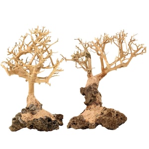 Dry Bonsai - Etsy