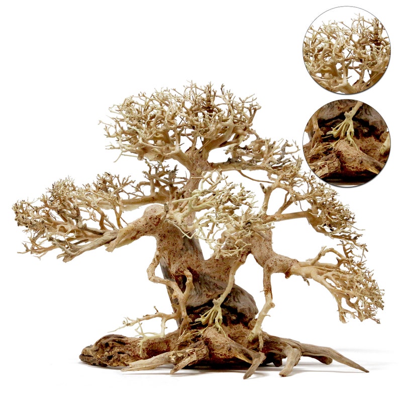 Bonsai Driftwood Aquarium Tree ABB 12 Inch Height Natural Etsy