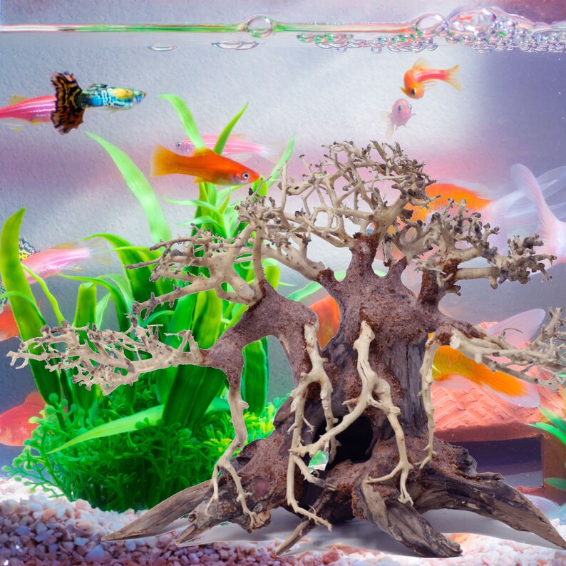 Aquarium Driftwood Bonsai Driftwood Moss Tree Aquatic AB Etsy