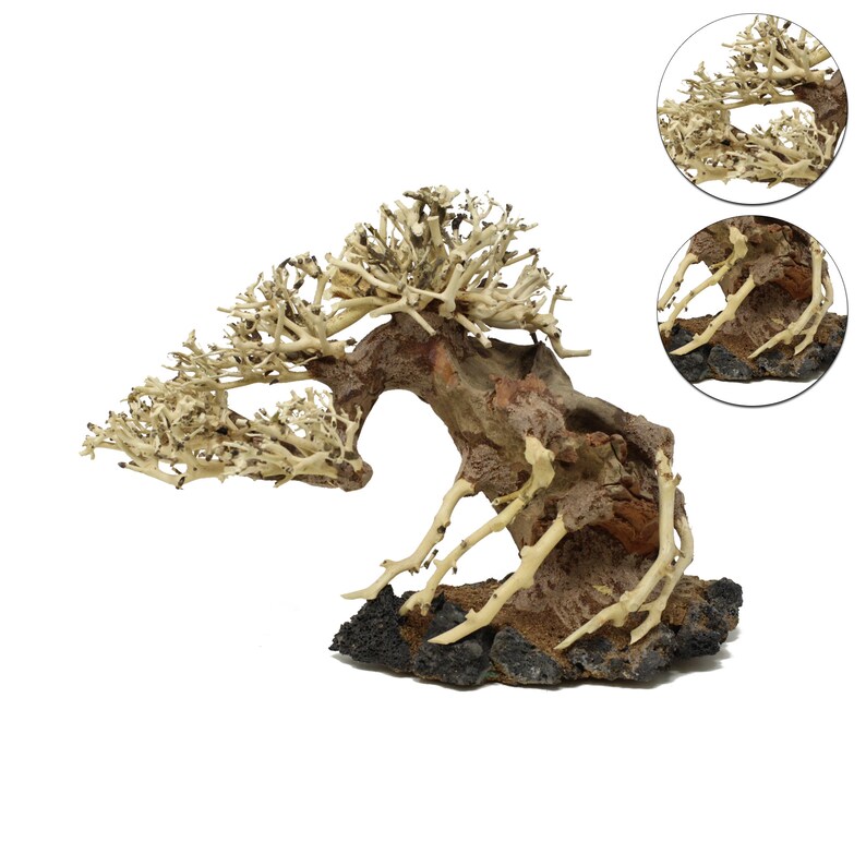 Bonsai Driftwood Aquarium Tree AWB 9 Inch Height Natural Etsy