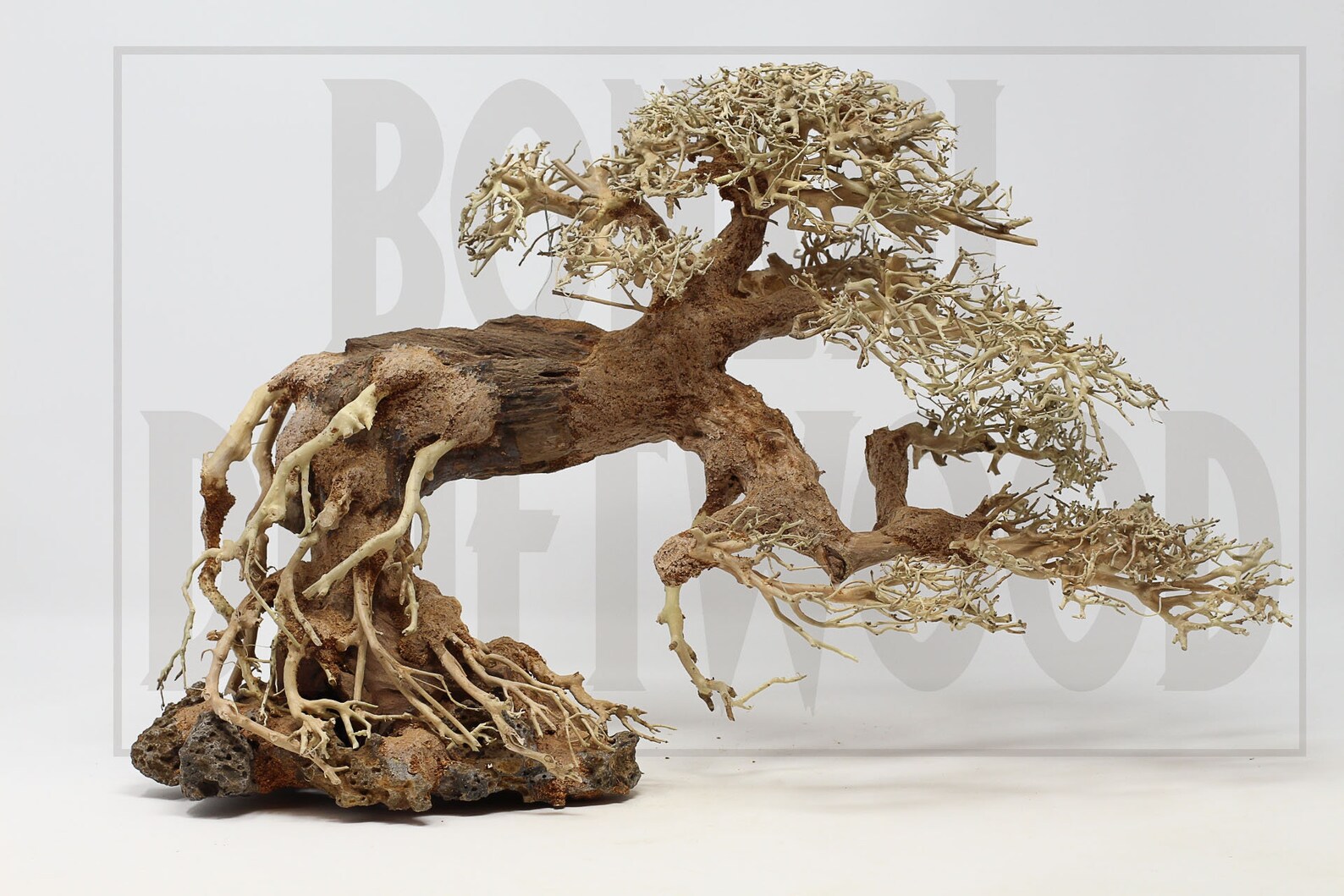 Aquarium Moos Baum Bonsai Treibholz BSD 12 Zoll hoch Etsy