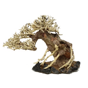 May include: A white driftwood bonsai tree with a brown base and black lava rock base. The tree is shaped like a traditional bonsai tree with a curved trunk and branches.