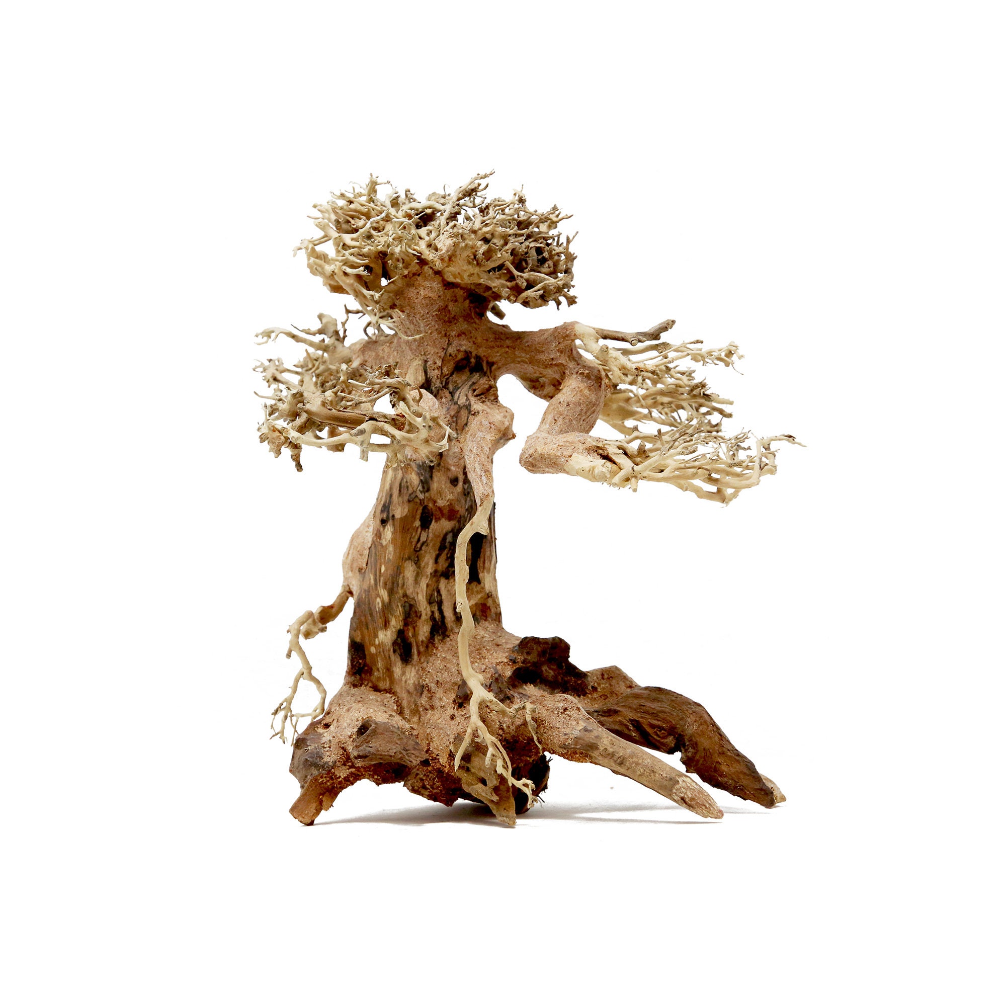 Aquarium Driftwood for sale 95 ads for used Aquarium Driftwoods