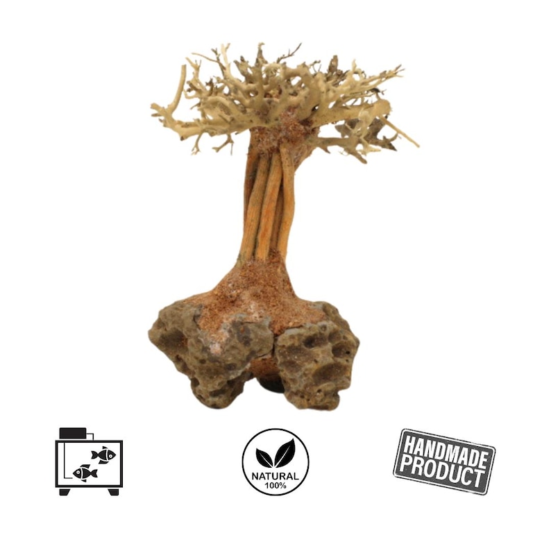 3pack Bonsai Driftwood Aquarium Trees on Rock 4 Height Handcrafted